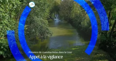 Photo du signalement 1